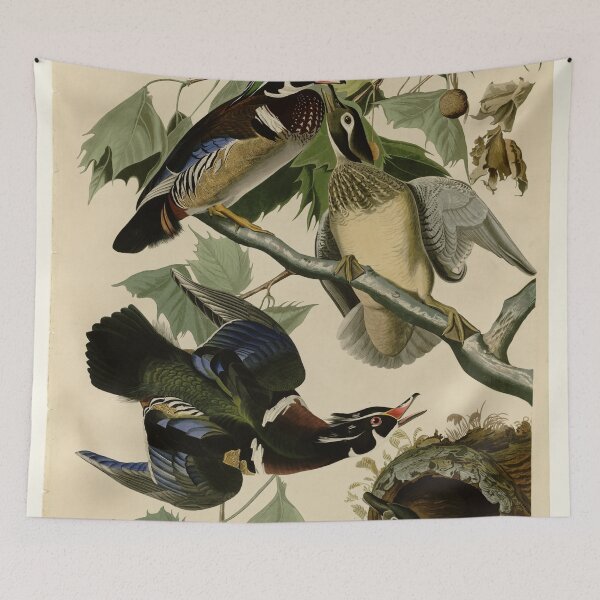Item preview, 206 Summer or Wood Duck designed and sold by Bird-Lore.