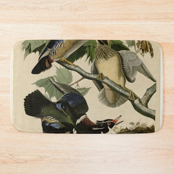 Item preview, 206 Summer or Wood Duck designed and sold by Bird-Lore.