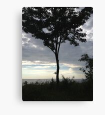 Lake Michigan tree at sunset Canvas Print