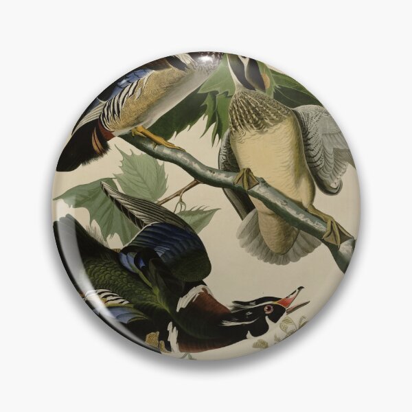 Item preview, 206 Summer or Wood Duck designed and sold by Bird-Lore.