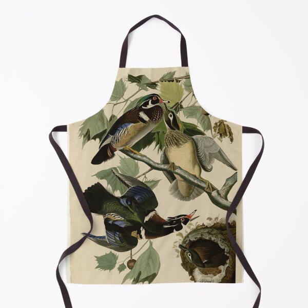Item preview, 206 Summer or Wood Duck designed and sold by Bird-Lore.
