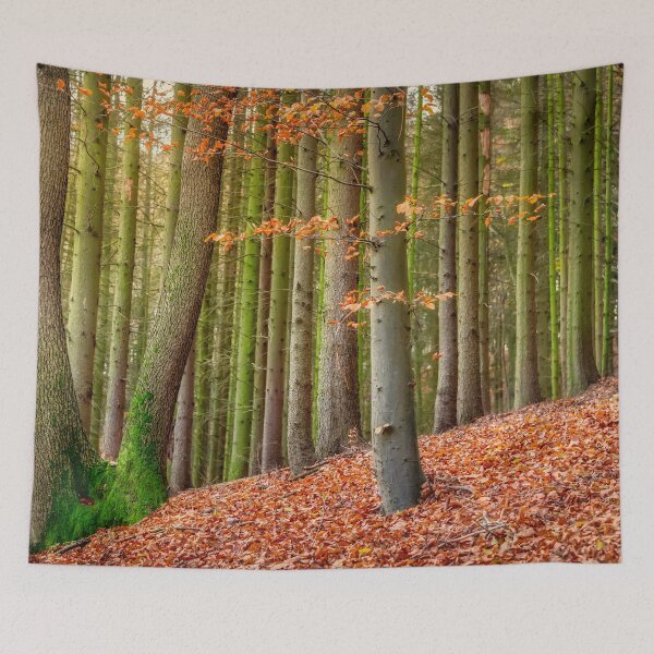 Item preview, Mixed Autumnal Forest with a Beech Tree designed and sold by Katho Menden.
