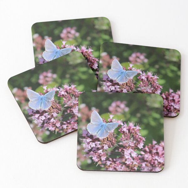 Aperçu de l'œuvre petit papillon bleu créée et vendue par pinkal.