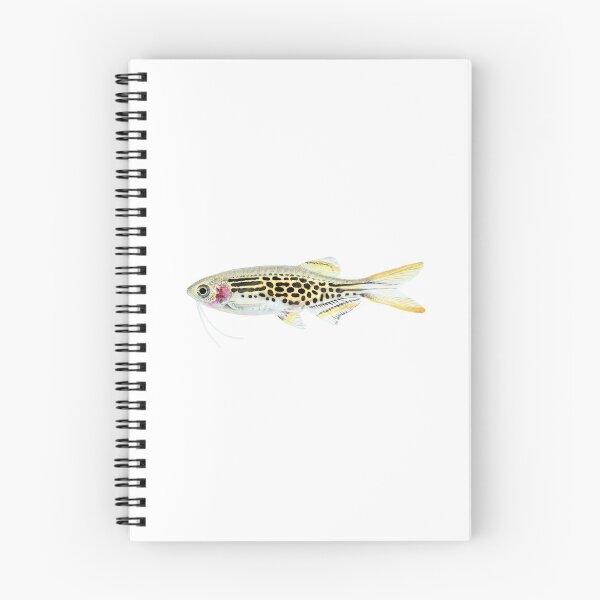 Item preview, Danio kyathit designed and sold by aquarebel.