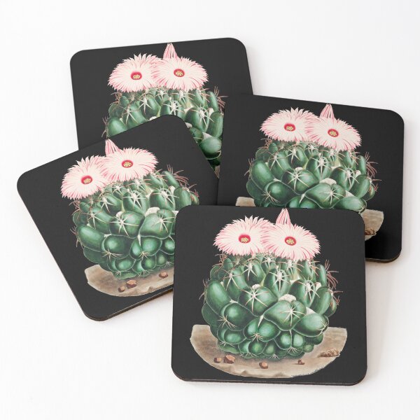 Item preview, Vintage Cactus - Mammillaria Elephantidens designed and sold by noveltiko.