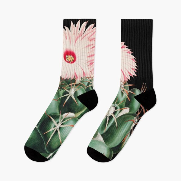Item preview, Vintage Cactus - Mammillaria Elephantidens designed and sold by noveltiko.