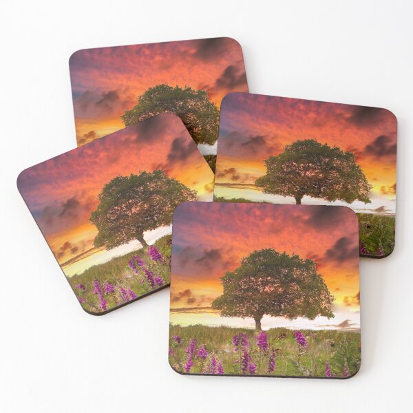 Item preview, Foxgloves at sunset designed and sold by Leighton Collins.