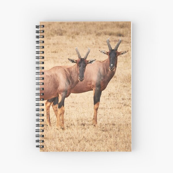 Hartebeest Stare Spiral Notebook