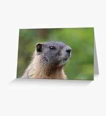 Marmot Portrait Greeting Card