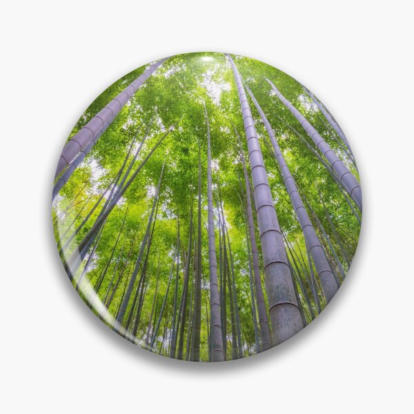 Item preview, Kyoto Bamboo Arishiyama designed and sold by Adrian Alford Photography.