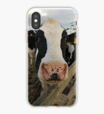 Moo cow iPhone Case