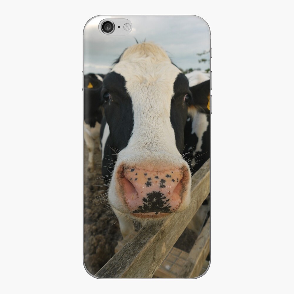 jersey #cow #calf #heifer #baby #moo Galaxy Case by Miss Wilkinson - Mobile  Prints