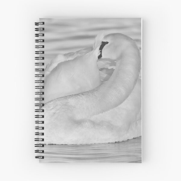 Item preview, Swan preening designed and sold by JuliaWatkins.