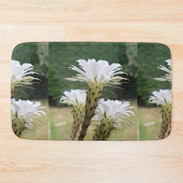 Item preview, easter lily cactus flowers designed and sold by pinkal.
