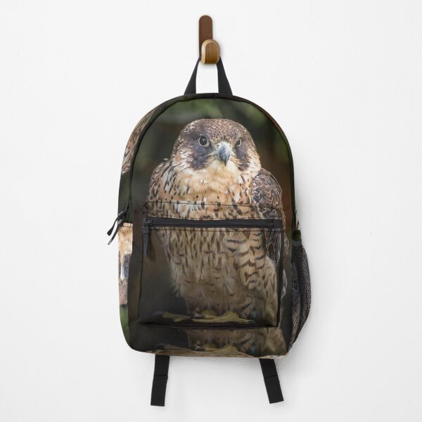 Item preview, Peregrine Falcon Bird of Prey Portrait designed and sold by Kipcio.