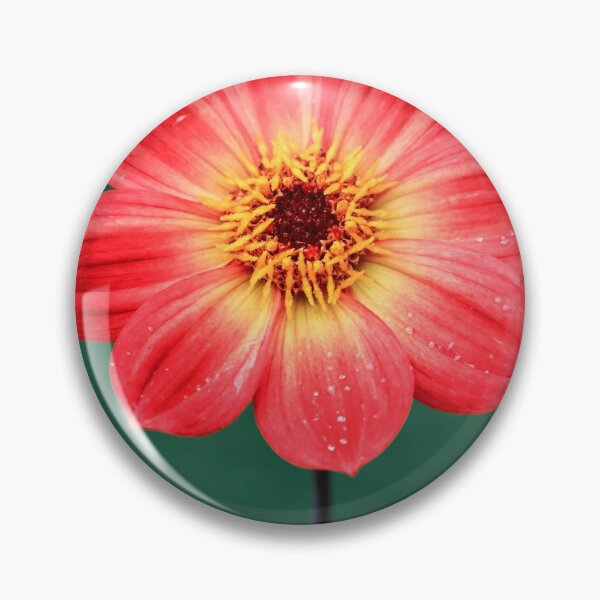 Item preview, Red Dahlia. designed and sold by John Ray.