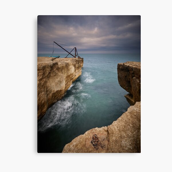 Red Crane Under Stormy Sky Canvas Print