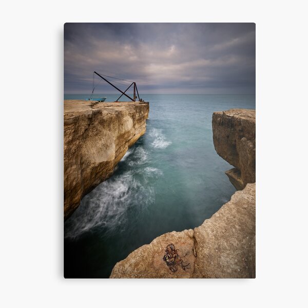 Red Crane Under Stormy Sky Metal Print