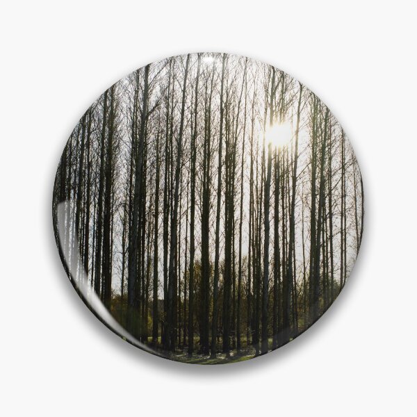 Item preview, poplar trees designed and sold by Jack Cox.