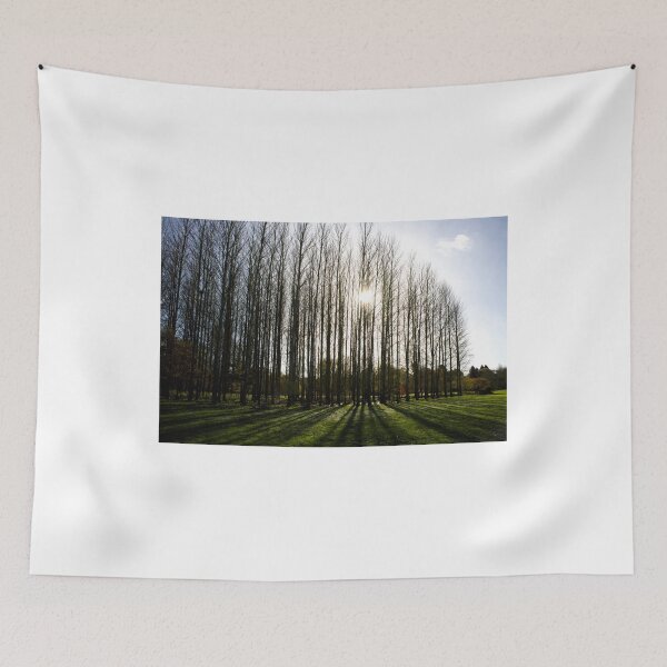 Item preview, poplar trees designed and sold by Jack Cox.