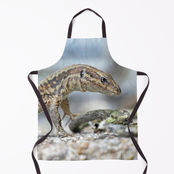 Item preview, r1841/ A beautifully arched Olavia-Olao Star Lizard - a beautifully arched Olavia-Olao Star Lizard by Okaïo Créations 2018 designed and sold by o.okaïo.