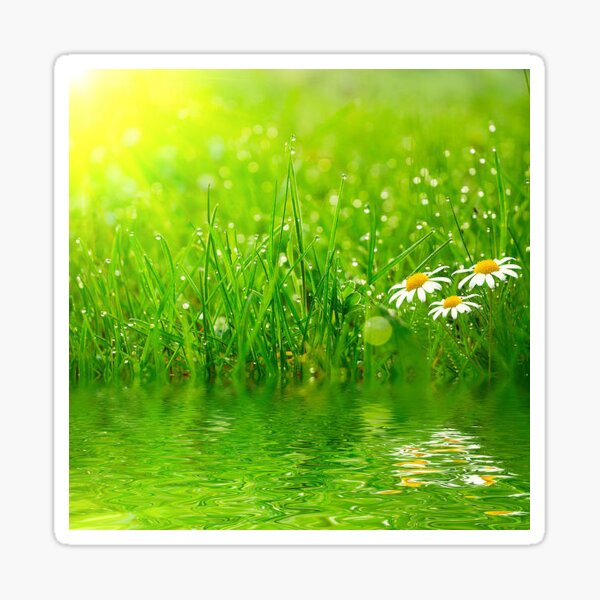 Item preview, Beauty of Nature designed and sold by H2Kaur.