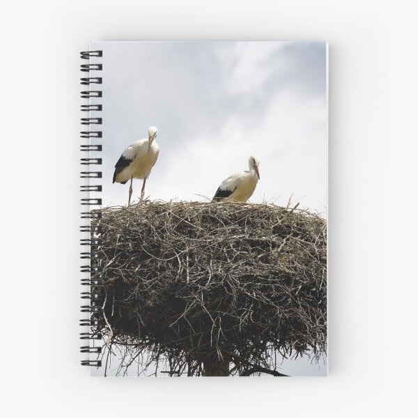 Item preview, white storks (Ciconia ciconia) designed and sold by Jack Cox.