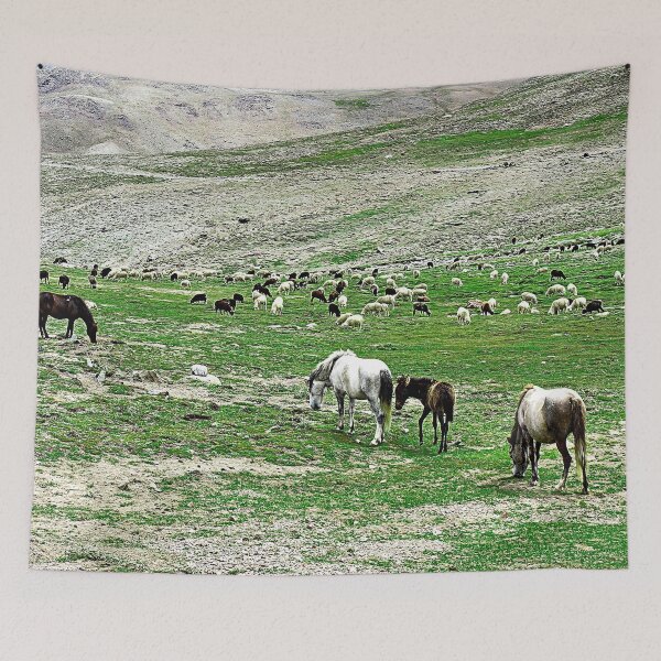 Item preview, Himalayan Wild Horses Herd  Grazing in a Field Landscape, Himalaya designed and sold by worldways.