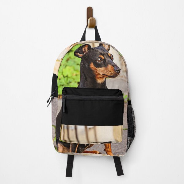 Item preview, DOG pinscher dwarf animal friend  designed and sold by MarketVisionAV.