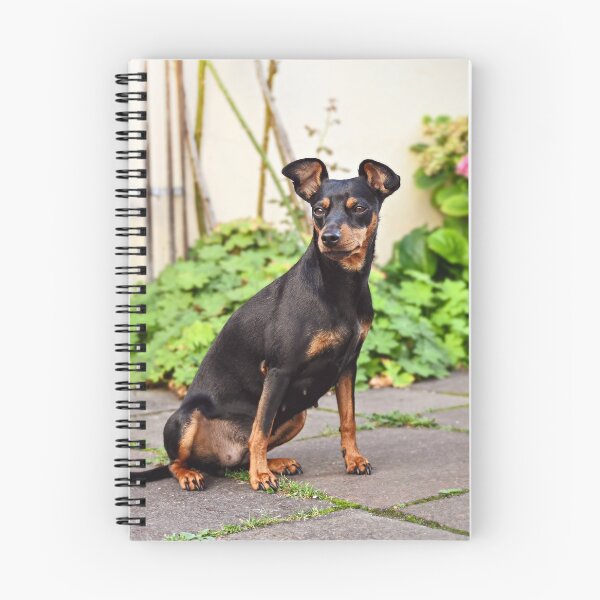 Artikelvorschau, HUND Pinscher Zwerg Tier Freund entworfen und verkauft von MarketVisionAV.