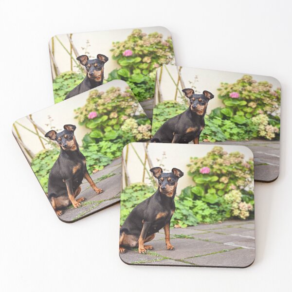 Item preview, DOG pinscher dwarf animal friend designed and sold by MarketVisionAV.
