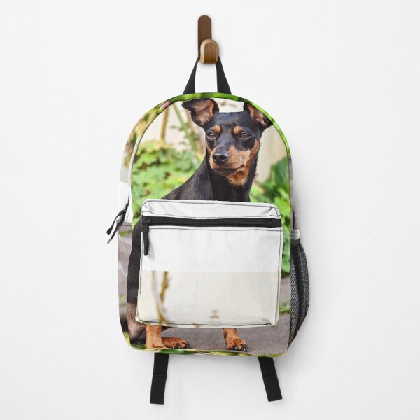 Item preview, DOG pinscher dwarf animal friend designed and sold by MarketVisionAV.