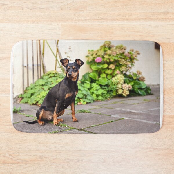 Item preview, DOG pinscher dwarf animal friend designed and sold by MarketVisionAV.