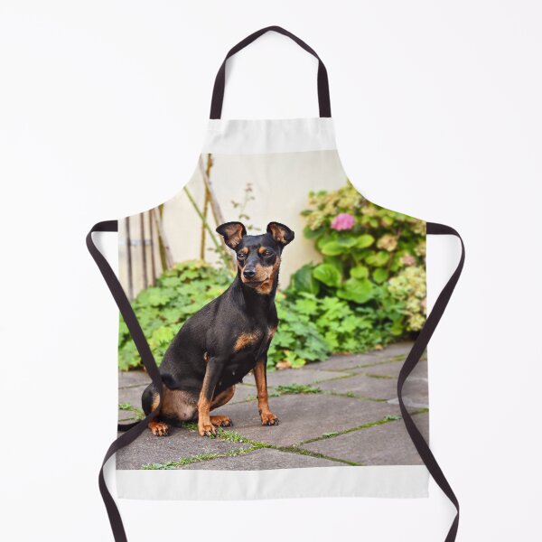 Item preview, DOG pinscher dwarf animal friend designed and sold by MarketVisionAV.