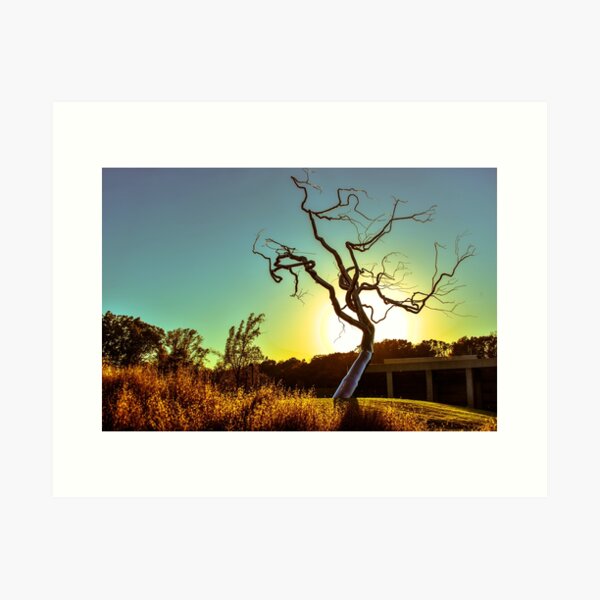 Item preview, Tree On The Hill And Setting Sun designed and sold by Gregory Ballos.