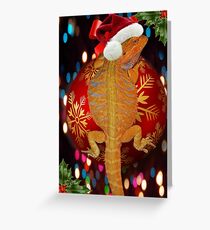 Christmas bearded dragon Greeting Card