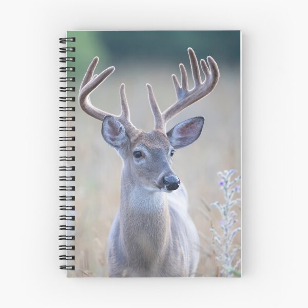 Item preview, White-tailed Buck in Summer designed and sold by James Cumming.