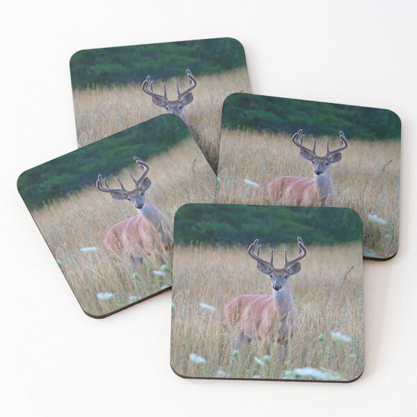 Item preview, White-tailed Buck in Summer designed and sold by James Cumming.