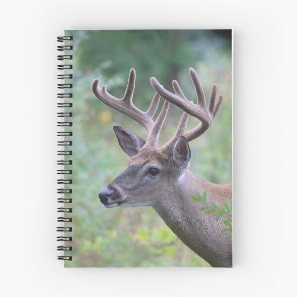 Item preview, White-tailed Buck in Summer designed and sold by James Cumming.