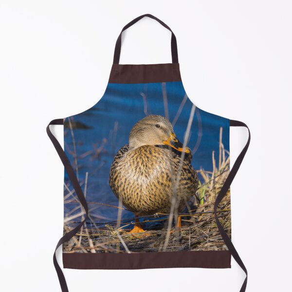 Item preview, Female Mallard In Disguise designed and sold by mljdwhite.