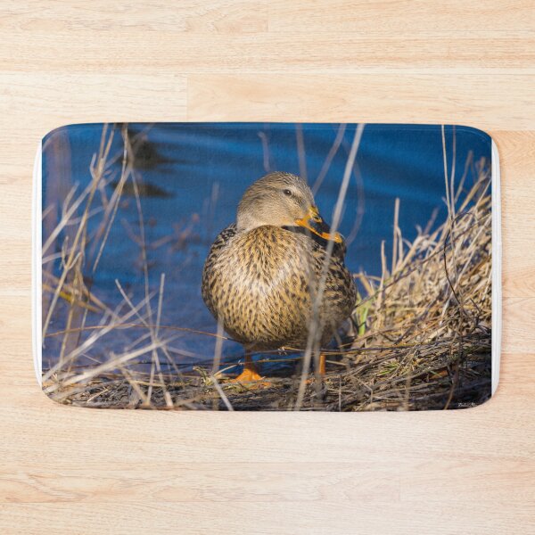 Item preview, Female Mallard In Disguise designed and sold by mljdwhite.