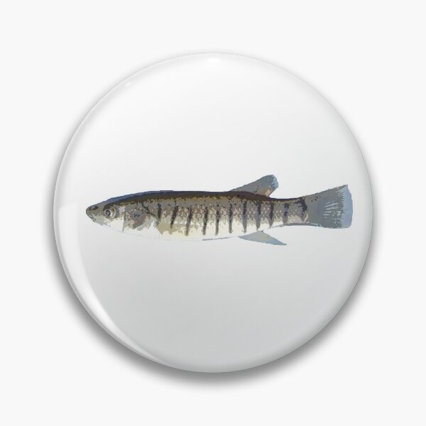 Item preview, Striped Killifish Color Print designed and sold by designsasstultd.