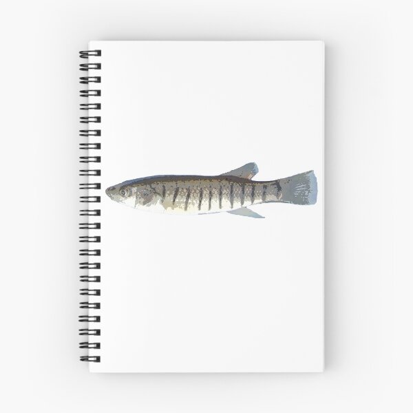 Item preview, Striped Killifish Color Print  designed and sold by designsasstultd.