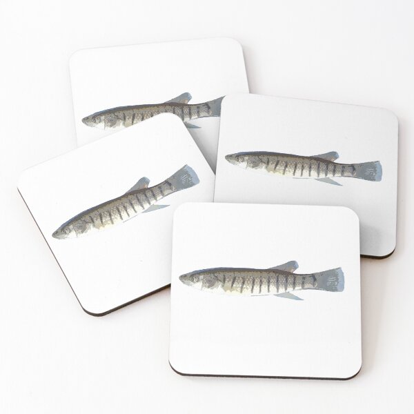Item preview, Striped Killifish Color Print  designed and sold by designsasstultd.