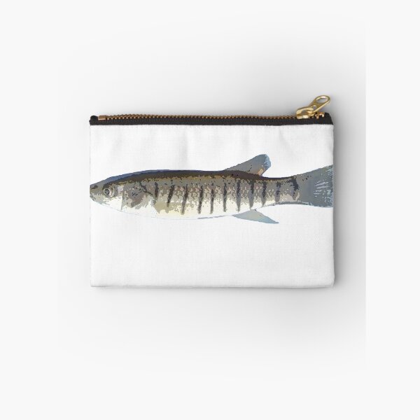 Item preview, Striped Killifish Color Print  designed and sold by designsasstultd.