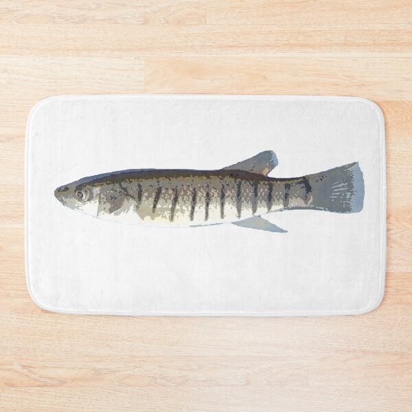 Item preview, Striped Killifish Color Print  designed and sold by designsasstultd.
