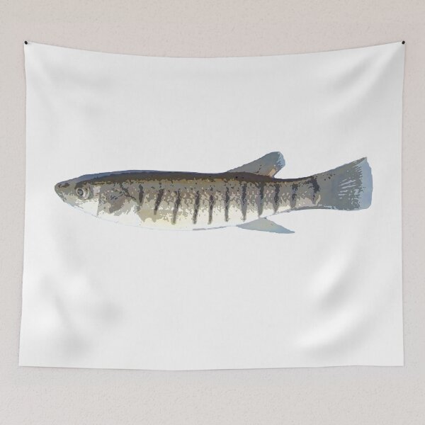 Item preview, Striped Killifish Color Print designed and sold by designsasstultd.