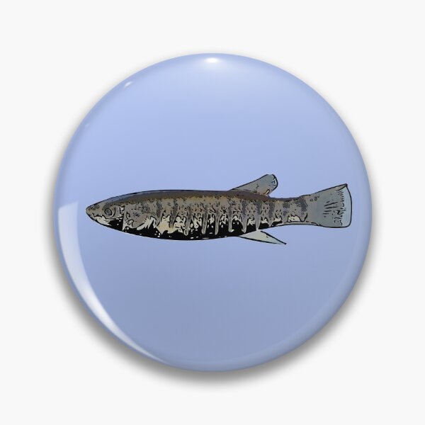 Item preview, Striped Killifish Black Alternate Print designed and sold by designsasstultd.