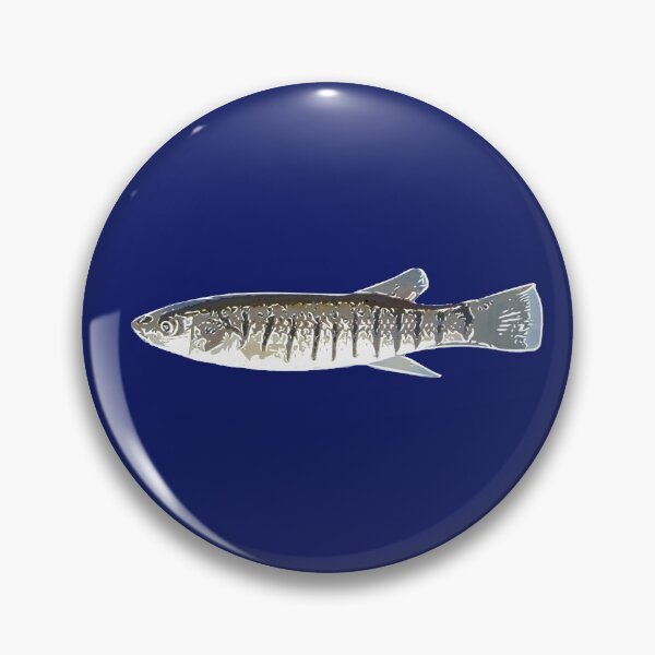 Item preview, Striped Killifish White Alternate Print designed and sold by designsasstultd.