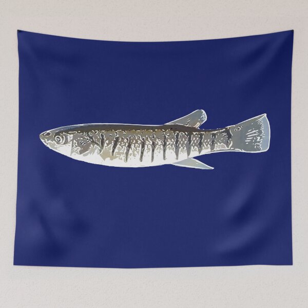 Item preview, Striped Killifish White Alternate Print designed and sold by designsasstultd.